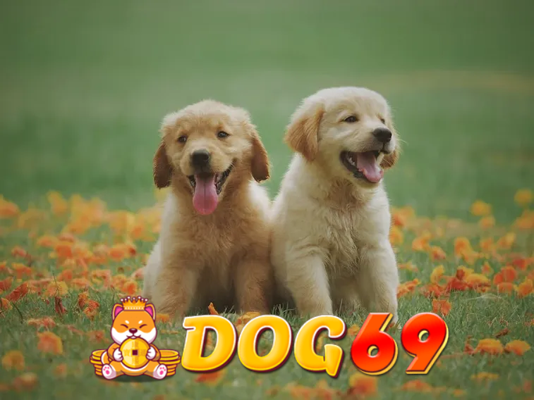 DOG69 : Alternatif Link Game Lucky Spin Hadiah Melimpah - WooCommerce eCommerce
